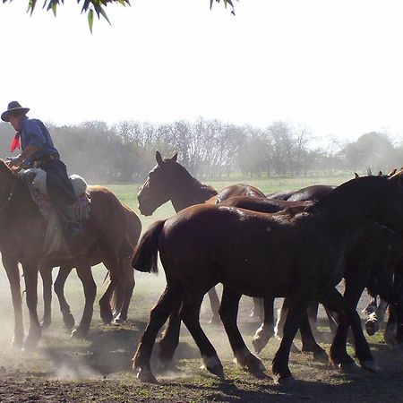 Estancia Don Silvano Affittacamere Diego Gaynor Esterno foto