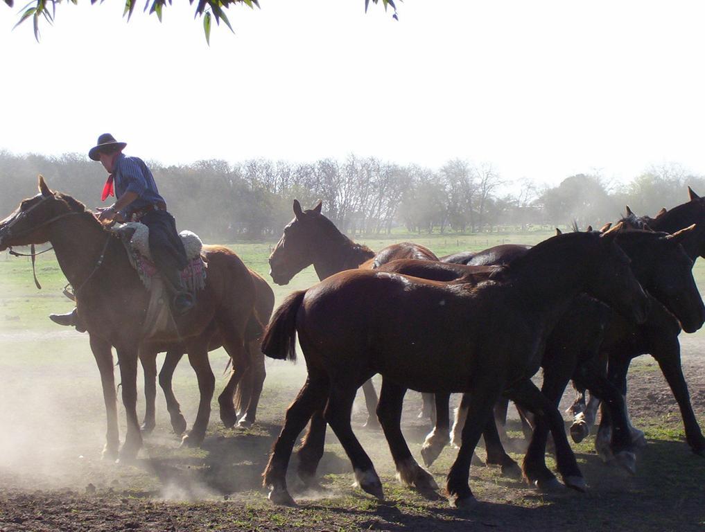 Estancia Don Silvano Affittacamere Diego Gaynor Esterno foto