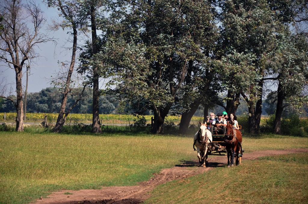 Estancia Don Silvano Affittacamere Diego Gaynor Esterno foto